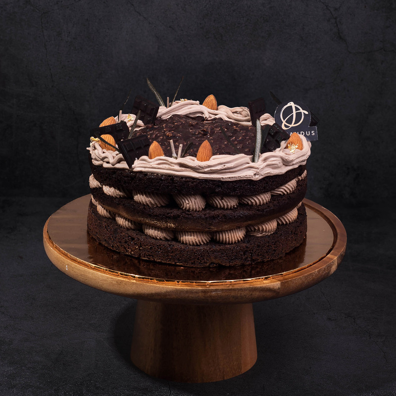 Hazelnut chocolate vegan naked cake 2