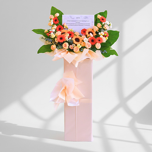 Medley bliss premium size fp 1