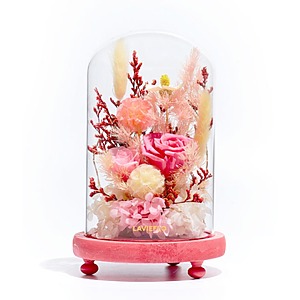 Promise of Spring | Preserved Flower